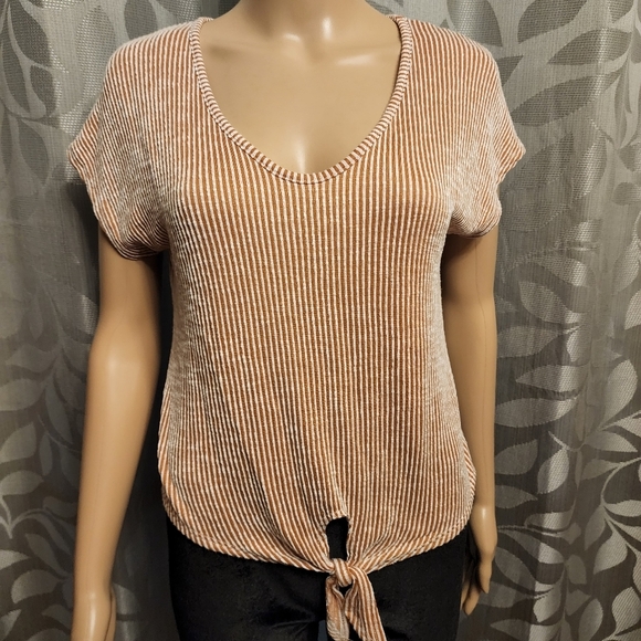 Caution to the Wind Crop Striped Shirt - Picture 10 of 10